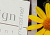 Close up of kloor logo and yellow daisy